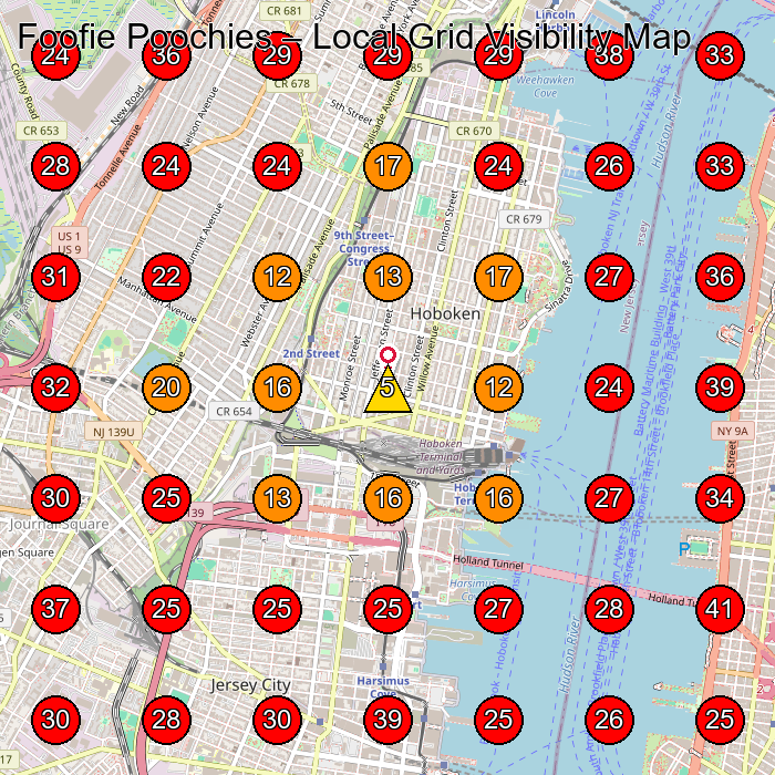 Foofie Poochies GeoGrid visibility map for Pet Groomer in Hoboken